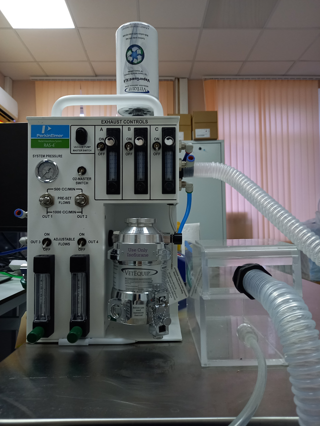 Система газовой (изофлюран) анестезии RAS-4 Rodent, 230 V, CLS 146737/B